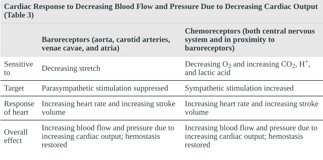 Chart contrasting the response of baroreceptors and chemoreceptors to decreased blood flow due to decreased cardiac output. The baroreceptors are sensitive to the decrease in the stretch, which suppresses the parasympathetic nervous system. This suppression increases heart rate and stroke volume to cause the overall effect of increasing blood flow and cardiac output. The chemoreceptors are sensitive to the decrease of Oxygen and increased carbon dioxide, hydrogen ions, and lactic acid resulting from the decreased cardiac output. These sensors signal for the increased activation of the sympathetic nervous system, which increases heart rate and stroke volume, therefore, increasing blood volume and cardiac output.