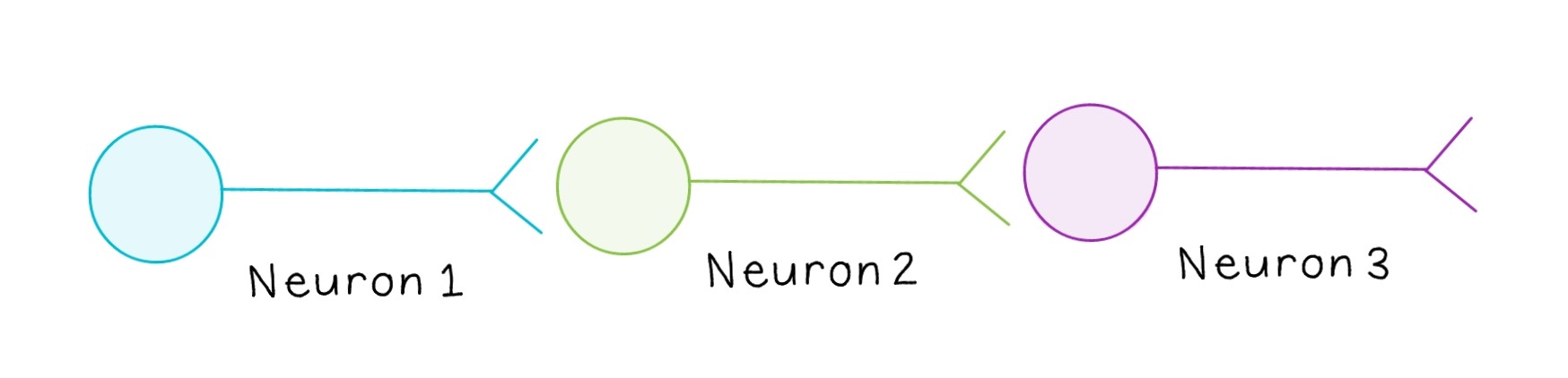 3 neurons synapsing onto each other