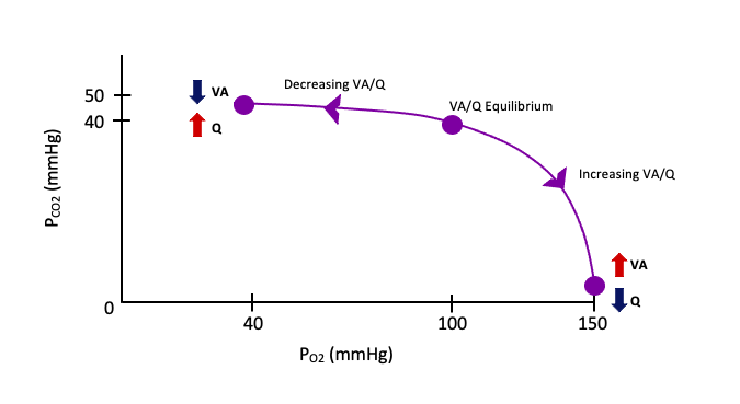 This graph depicts the ventilation-flow ratio and how alterations in either ventilation or flow can lead to changes in oxygen and carbon dioxide pressures. The equilibrium of VA/Q is at PO2 of 100 mmHg and a PCO2 of 40mmHg. If a decrease in ventilation (VA) occurs, the PO2 decreases to 40mmHg and the PCO2 slightly increases to 45mmHg. In contrast, if a decrease in flow (Q) occurs, then the PO2 will dramatically increase from equlibruim to 150mmHg while the PCO2 will drop to 0mmHg.