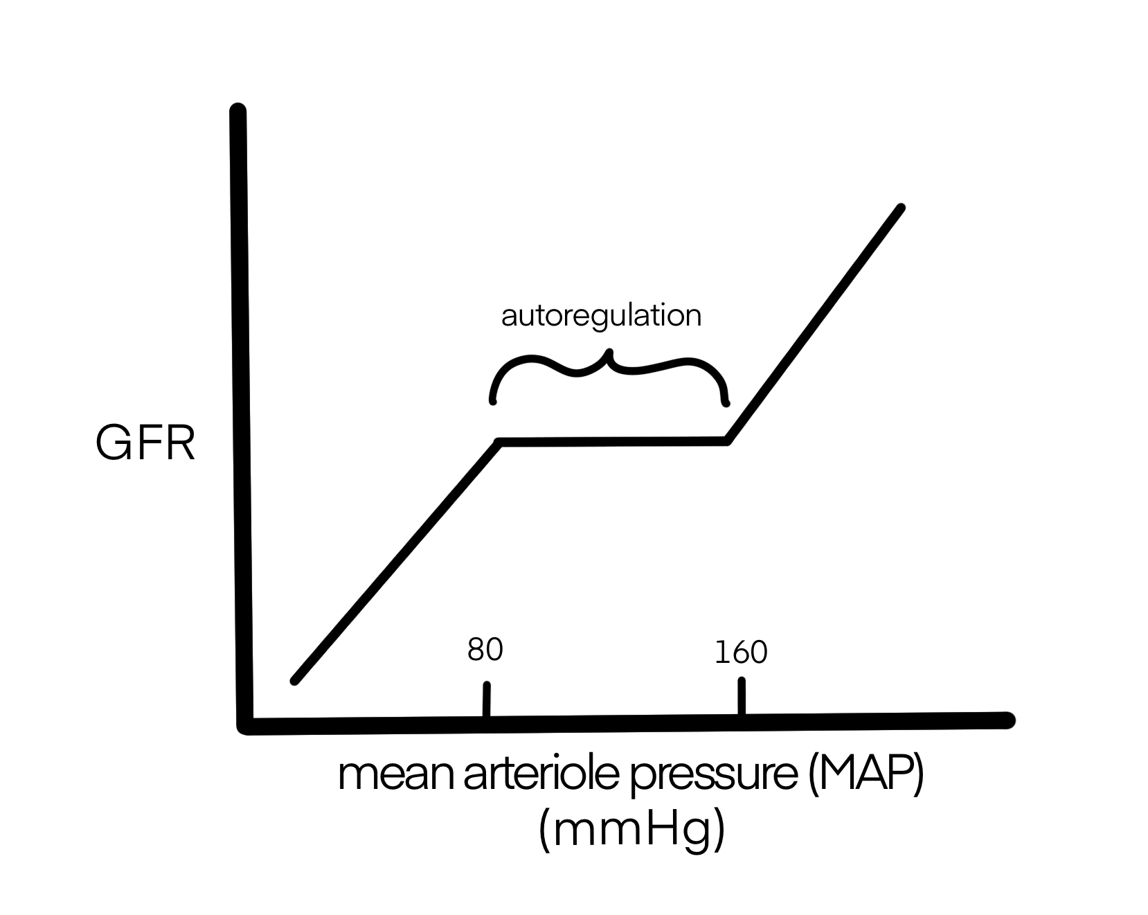 This graph shows that the mechanism of autoregulation keeps GFR constant over a range of mean arterial pressures.