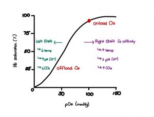 An illustrated oxygen dissociation curve with off-load and on-load points indicated at their respective pO2 levels as well as factors that cause a left or rightward shift such changes in temperature, pH and CO2