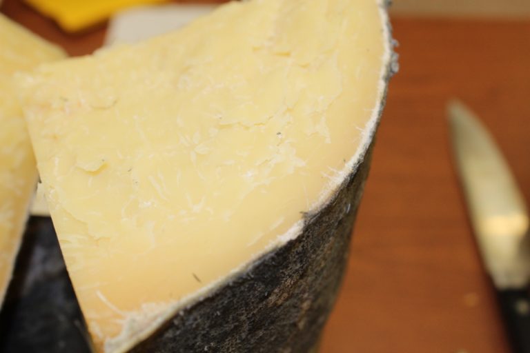 Ripening and Packaging – Cheese Making Technology e-Book