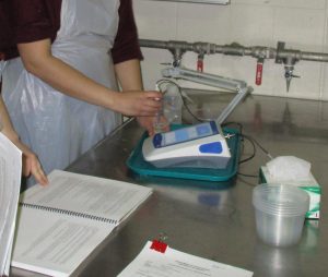 A person measures the pH of a solution of distilled water and fragments of cheese using a pH probe. The pH of the solution appears on a monitor separate from the pH probe.