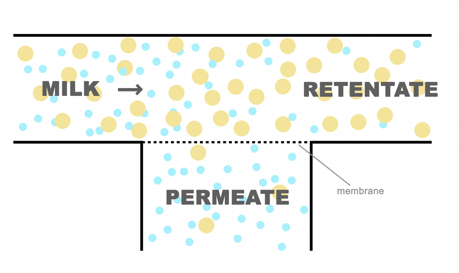 Cheese Making from Ultrafiltered Milk Cheese Making Technology eBook