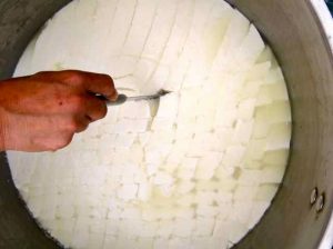 An image of someone stirring a pot of high moisture cheese cut into large-sized curds.