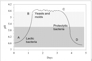 pH of milk decreases at the beginning because of bacterial fermentation, stabilizes for teo days and ehn increases because of yeast and moulds