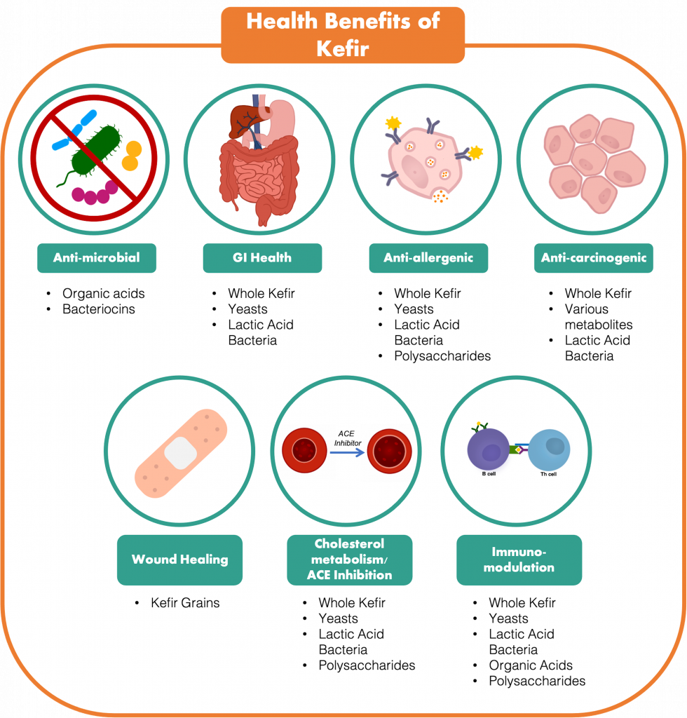 Diagram summarizing the potential health benefits of kefir