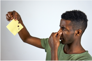 Image of person holding strong smelling cheese