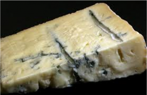 Image of mouldy cheese