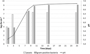 Graph illustrating the change in pH of cheese modelled over the growth of yeast and gram-positive bacteria. pH increases with increasing populations of yeast and bacteria