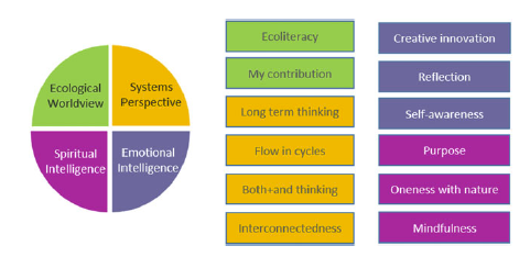 A circle segmented into 4 describing the four content areas of the sustainability mindset with 12 boxes detailing each component of each segment.