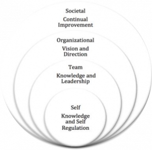 Domains of leadership, represented by nested circles. Societal leadership is the largest circle, followed by organizational leadership, then team knowledge and leadership, and finally self leadership.