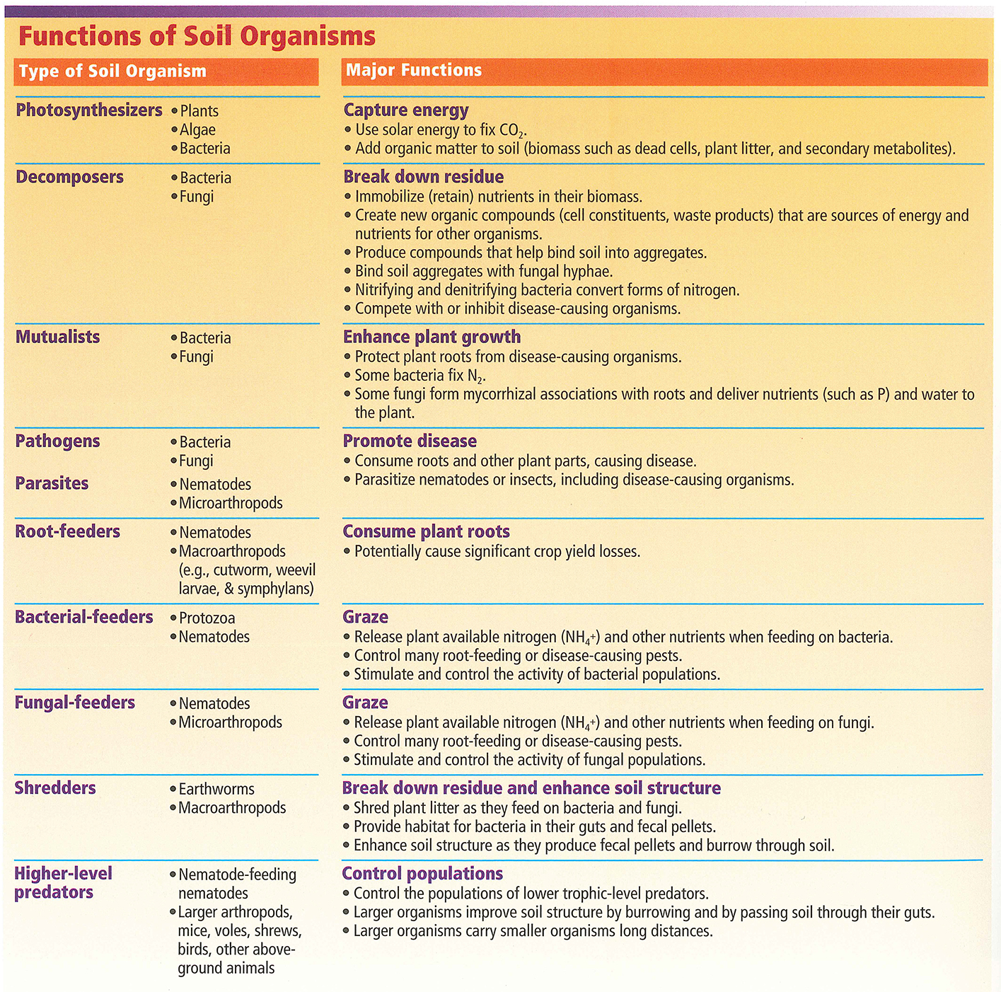 Chart with the functions of different types of soil organisms.