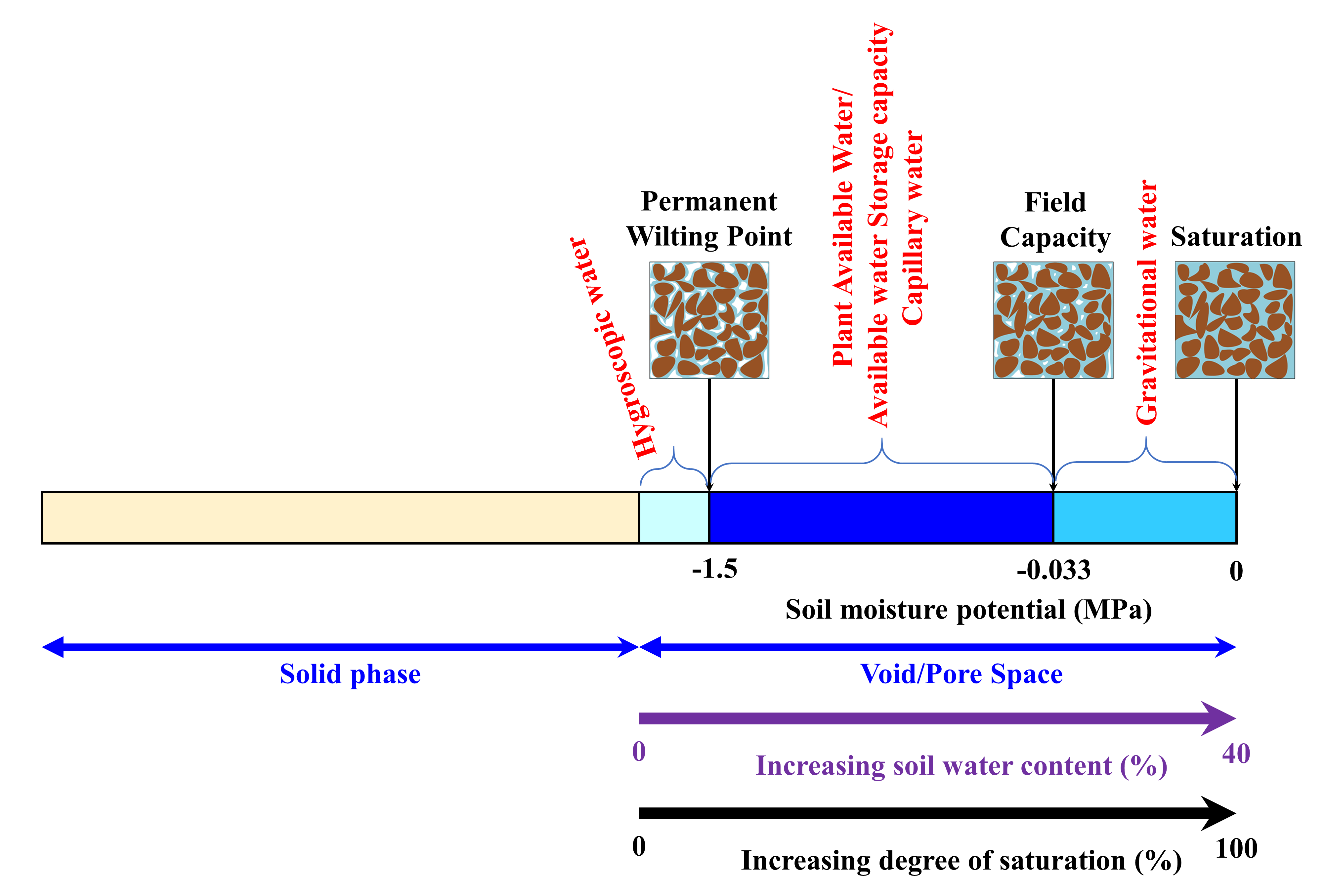 Diagram of wilting point, field capacity, and the saturation points of soil in relation to the availability of water.