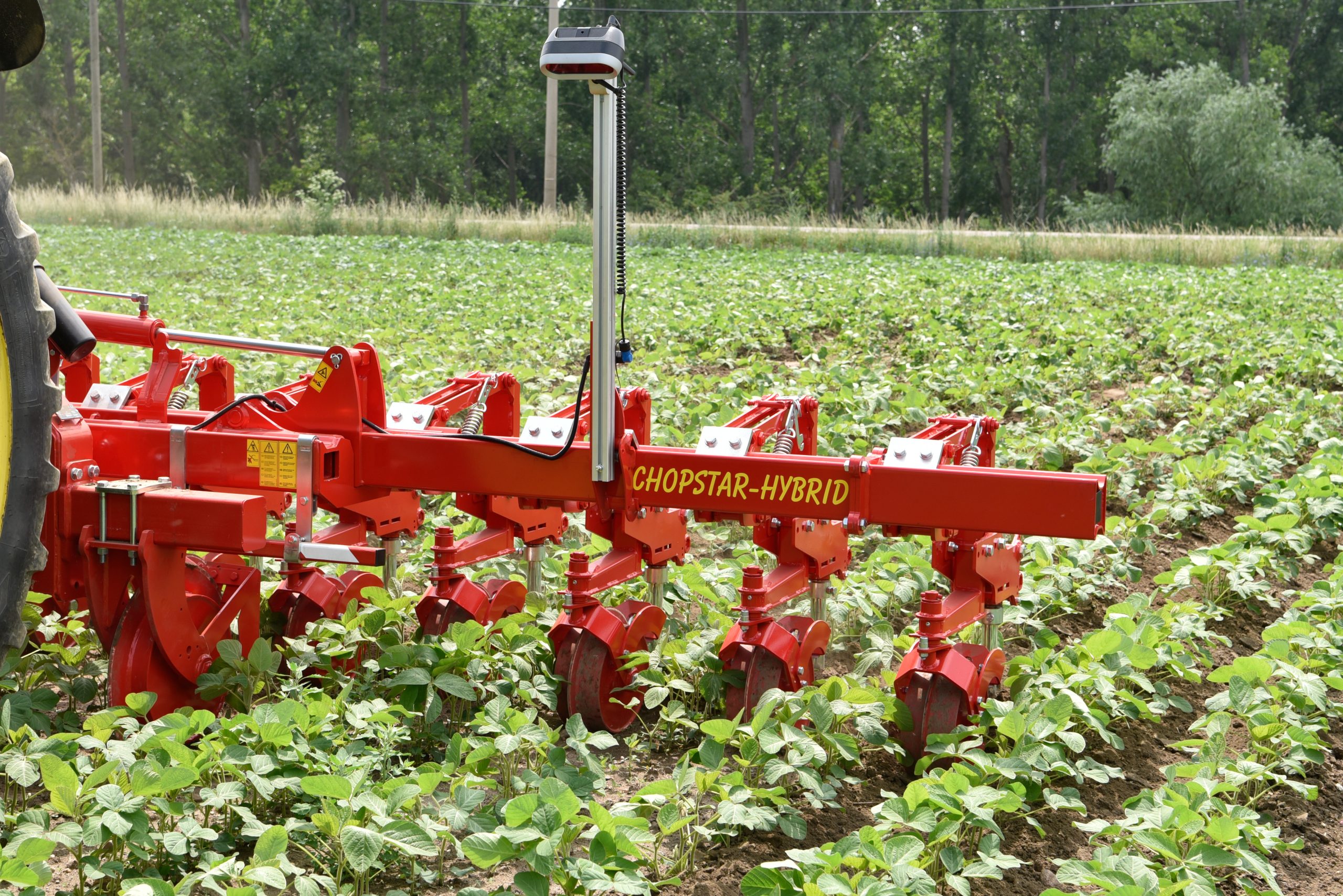 Row cultivator tractor implement being used for between-row weed control.