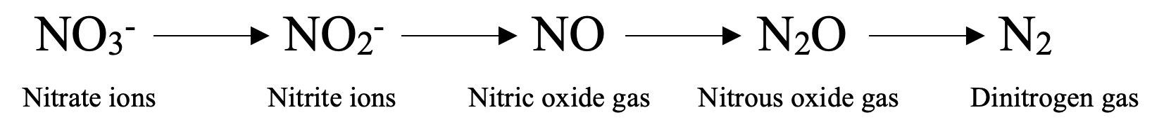 Figure showing denitrification, from nitrate ions to dinitrogen gas.