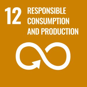 Logo for Sustainable Development Goal 12 which is focused on responsible consumption and production