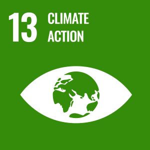 Logo for sustainable development goal 13 which is focused on climate action