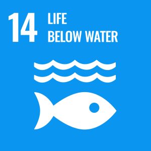 Logo for sustainable development goal 14 which is focused on life below water