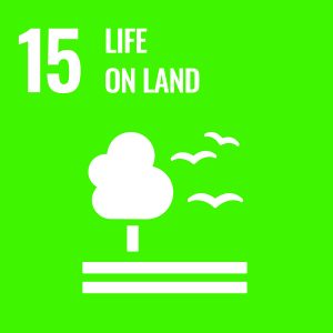 Logo for sustainable development goal 15 which is focused on life on land