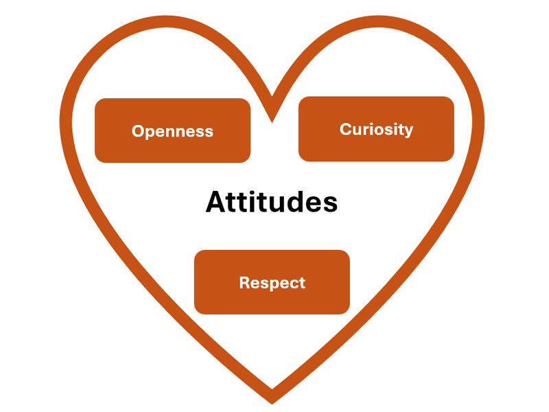 A heart labelled attitudes, containing the words openness, curiosity, and respect.